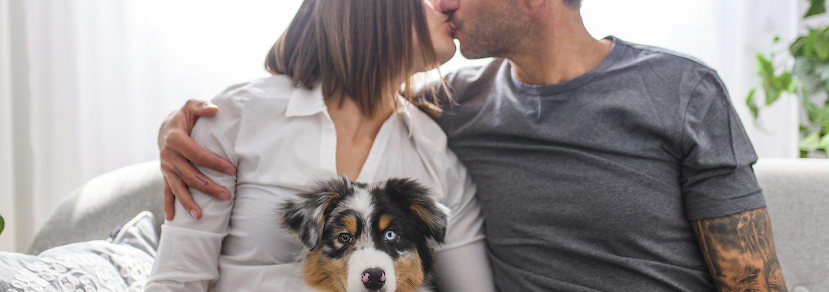Do you talk to your spouse through your pets or children