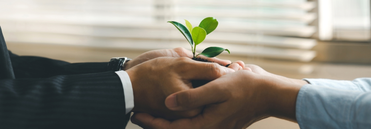 Grow your way through marriage troubles