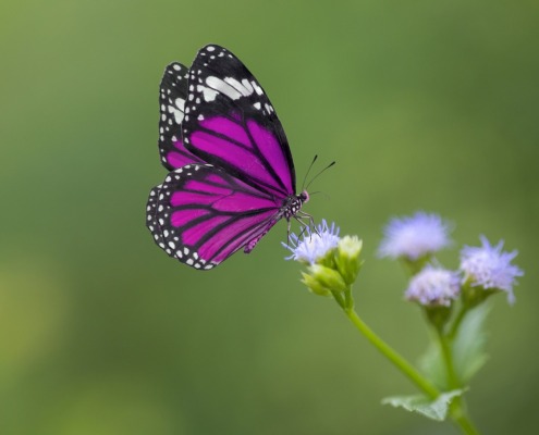 Understanding relationship change